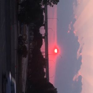 Meet your Posher, Laila